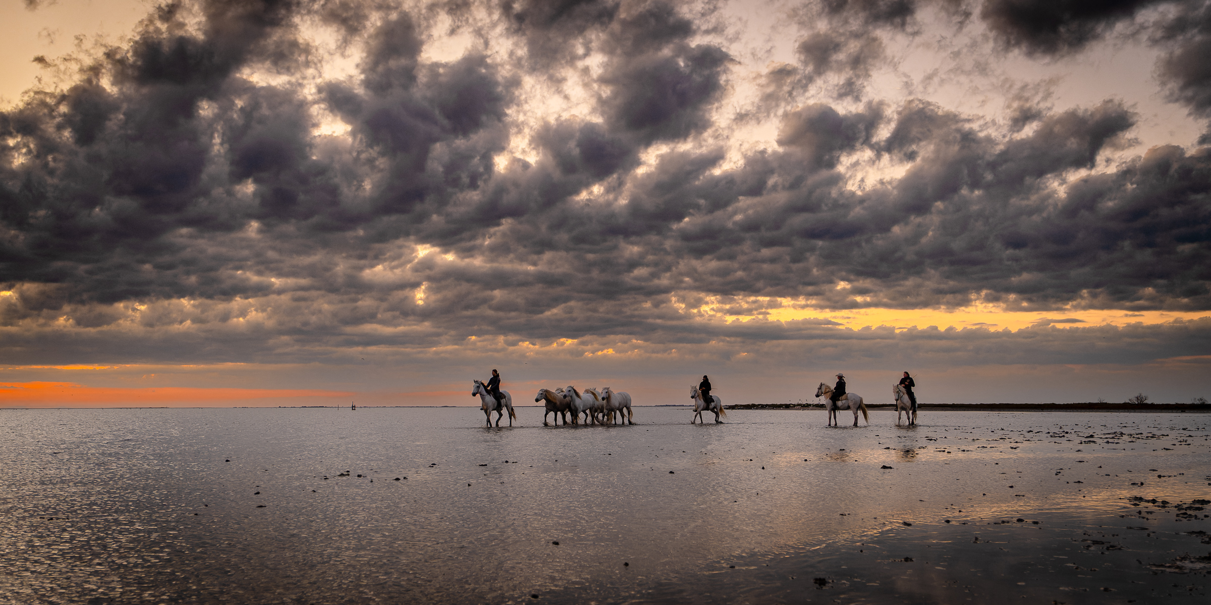 Bernard Crampon Photography - 002-2021-10-24_0082 La Camargue