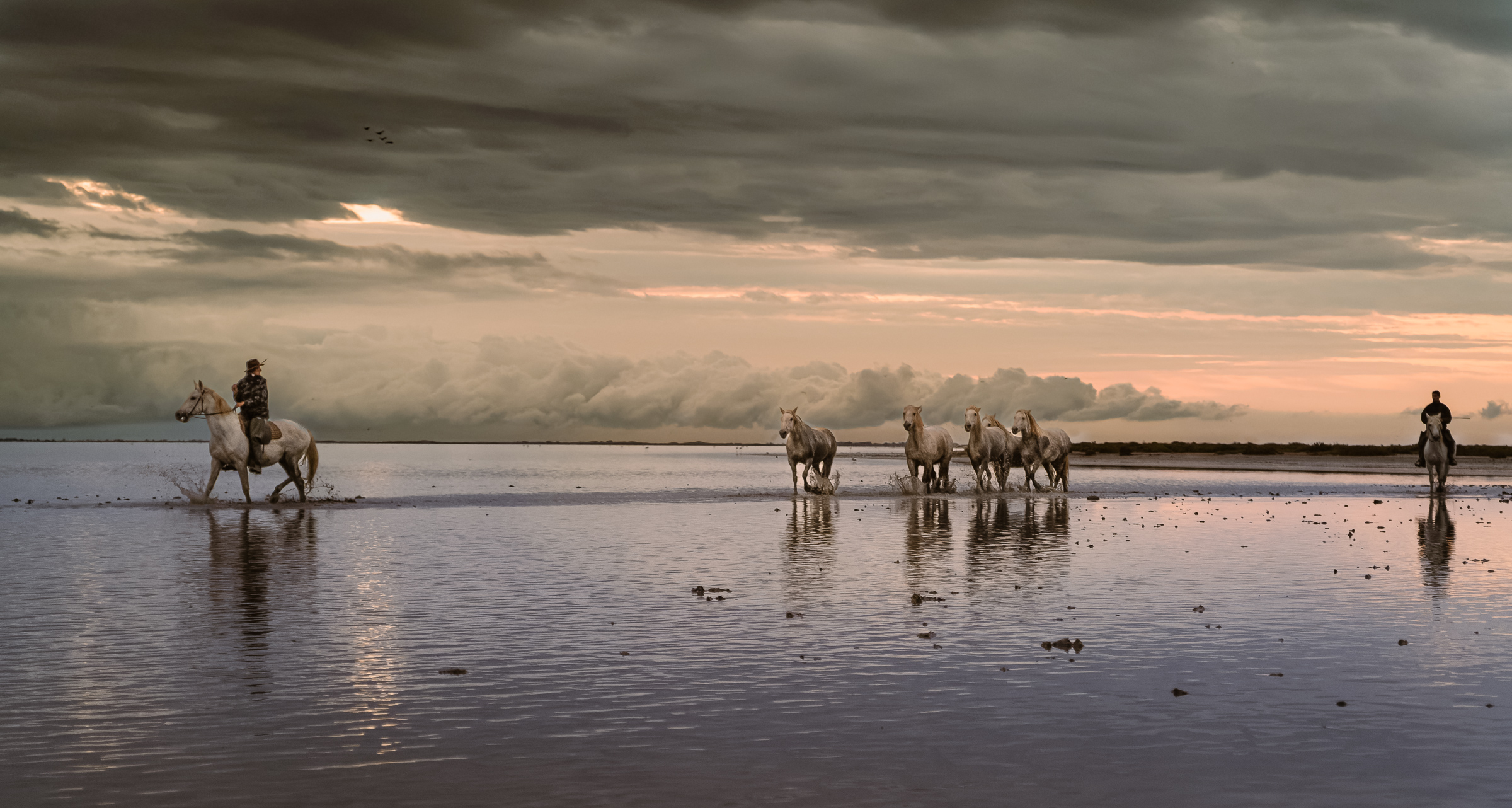 Bernard Crampon Photography - 003-2021-10-21_0427 La Camargue