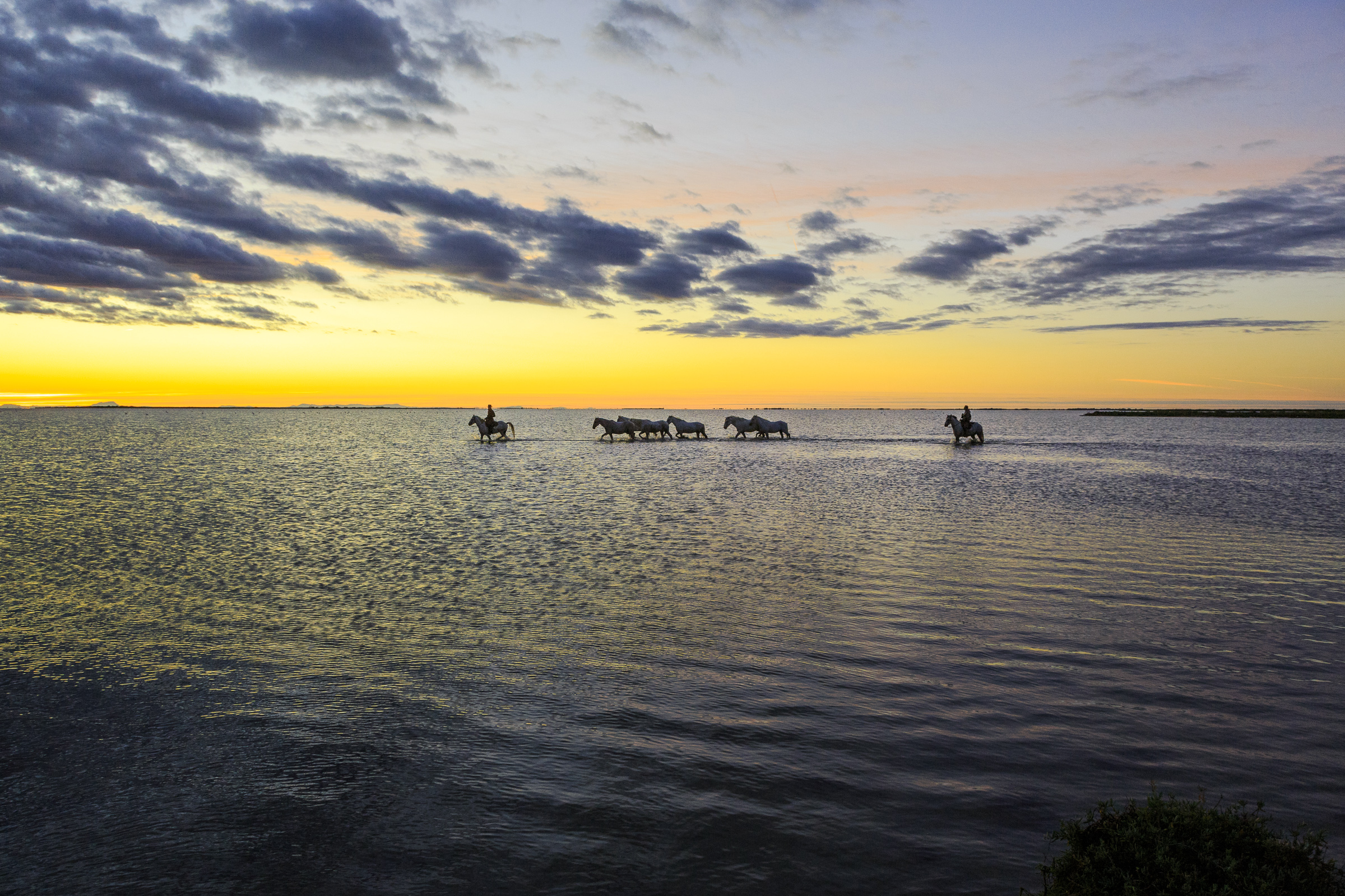 Bernard Crampon Photography - 004-2015 09 18 Camargue_0025
