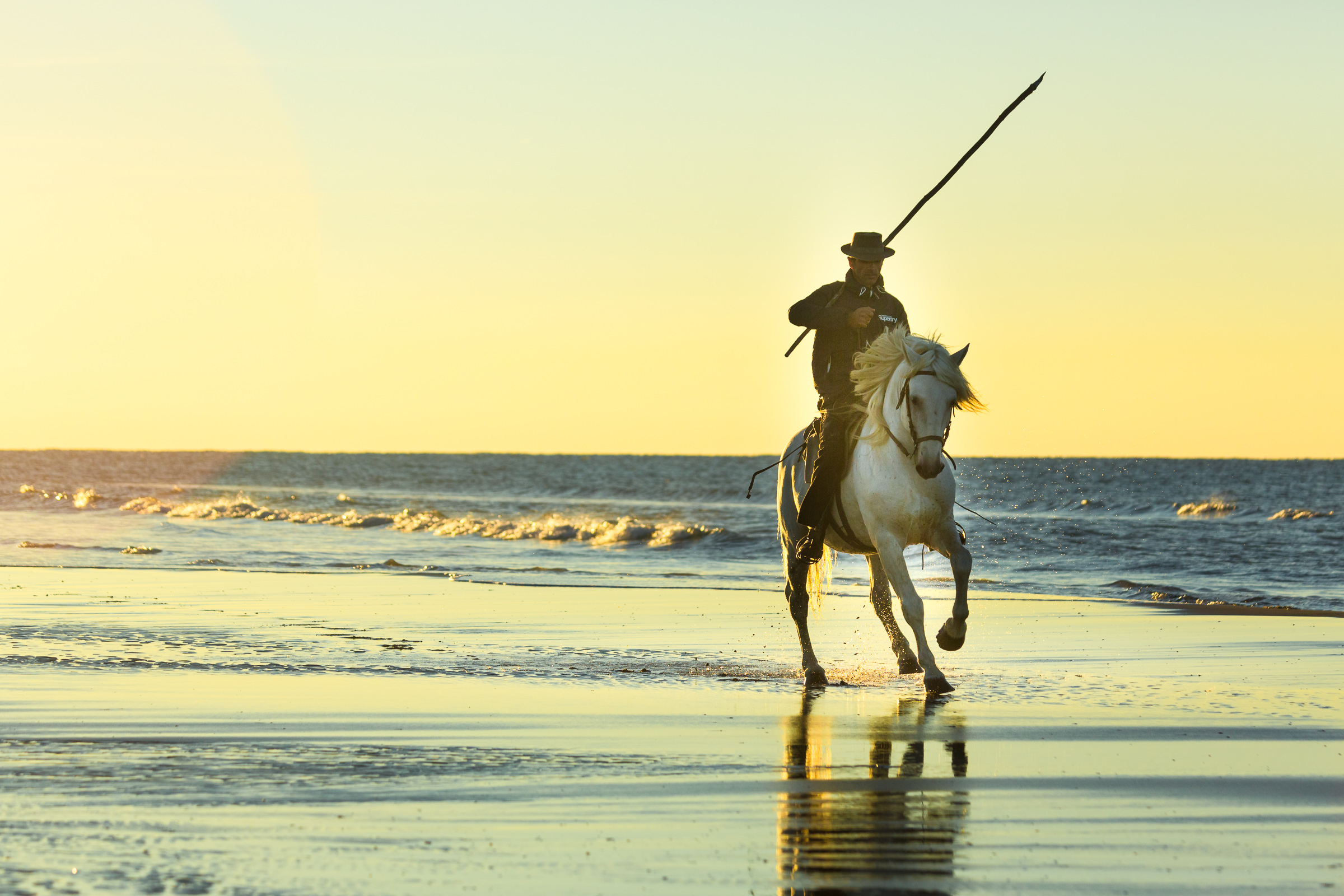 Bernard Crampon Photography - 010-2015 09 21 Camargue_0300