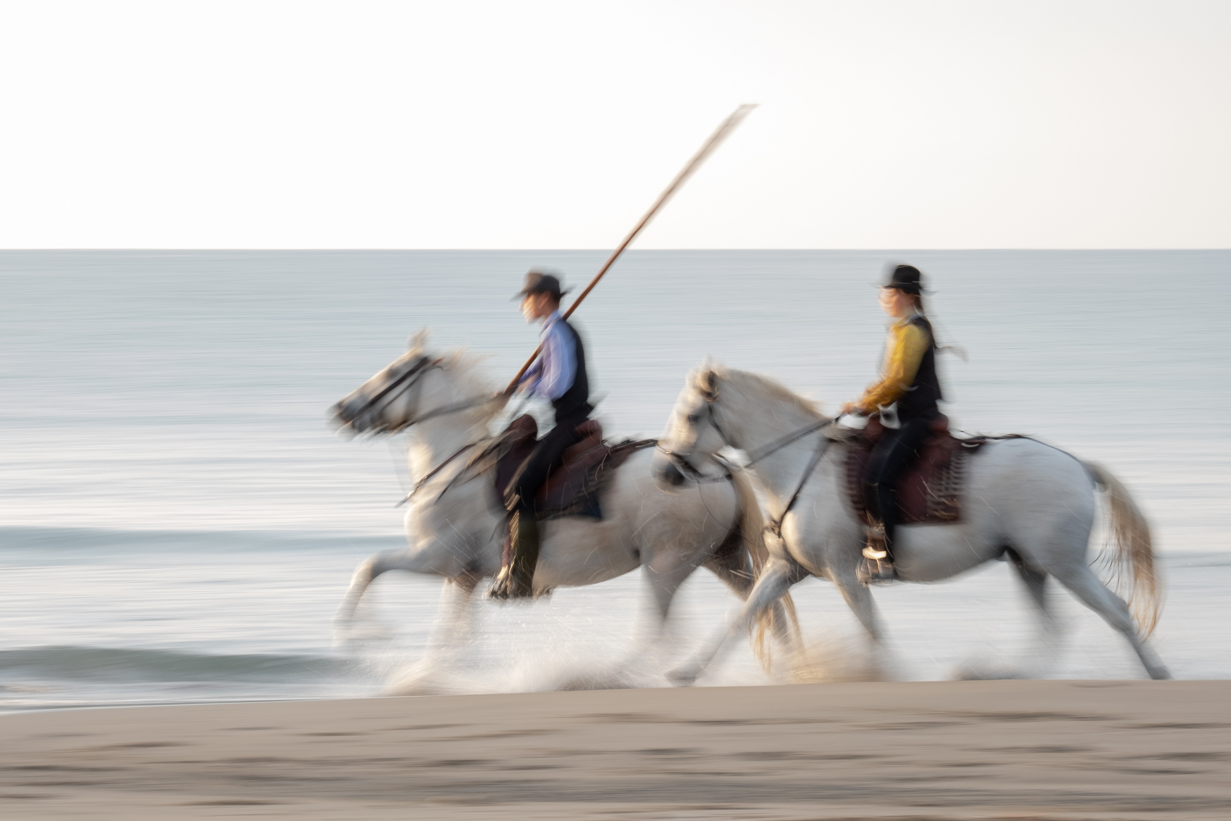 Bernard Crampon Photography - 011-2018 10 06 Chevaux_0680