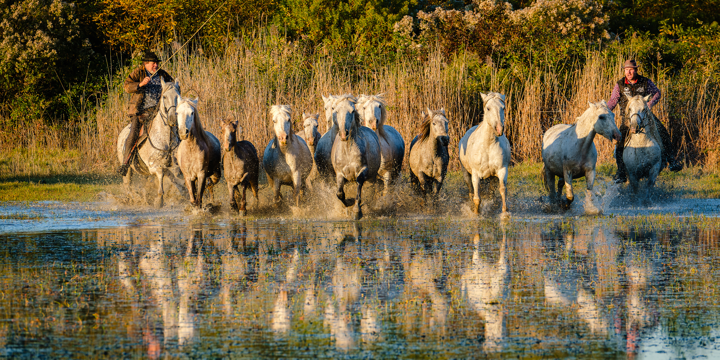 Bernard Crampon Photography - 023-2021-10-23_0407 La Camargue-RAF_DxO_DeepPRIME