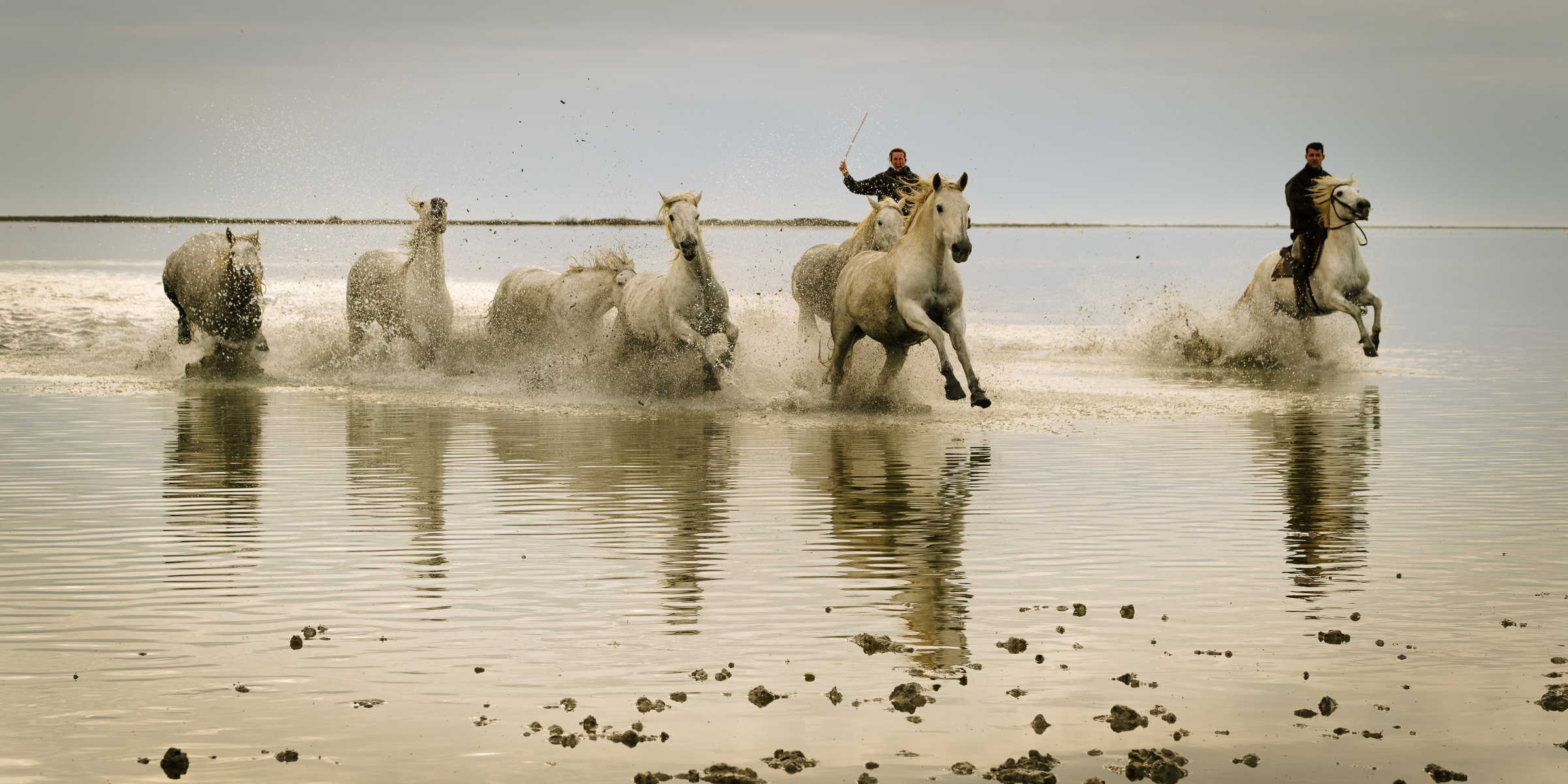 Bernard Crampon Photography - 024-2021-10-21_0135 La Camargue-RAF_DxO_DeepPRIME