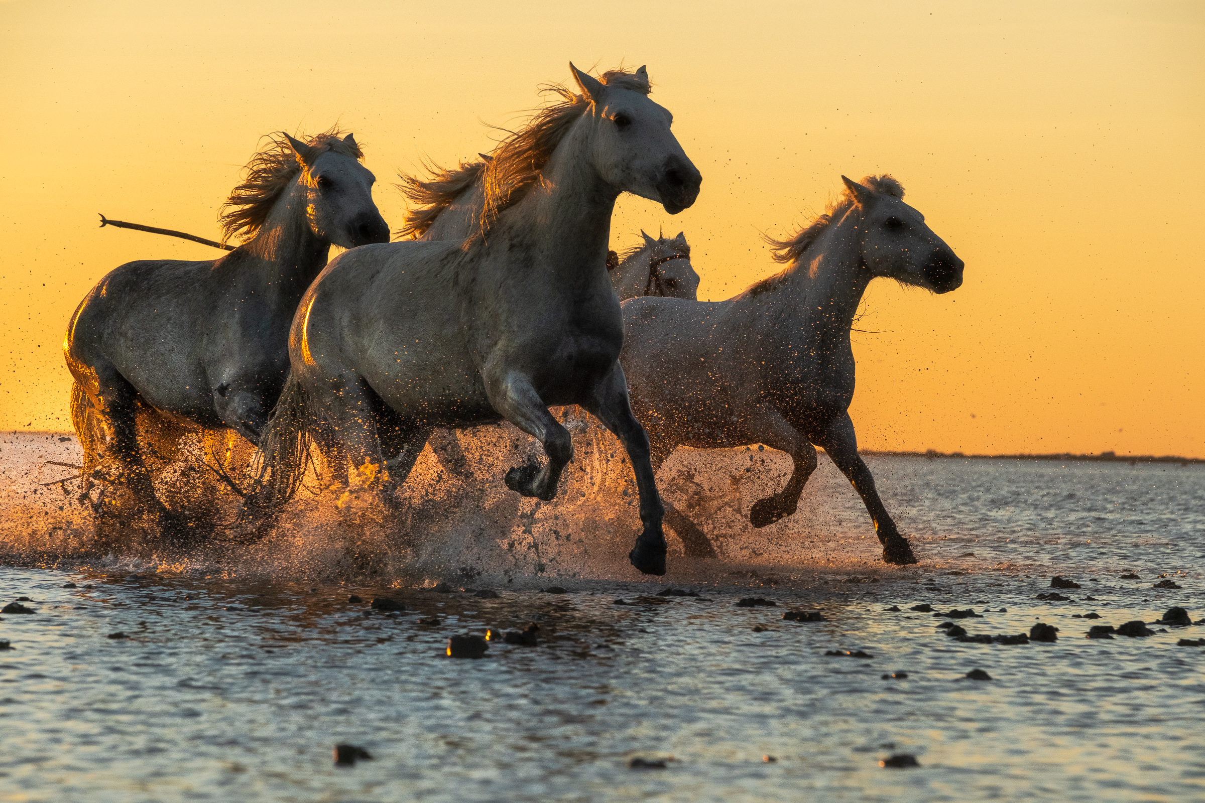 Bernard Crampon Photography - Pointe de Cacharel