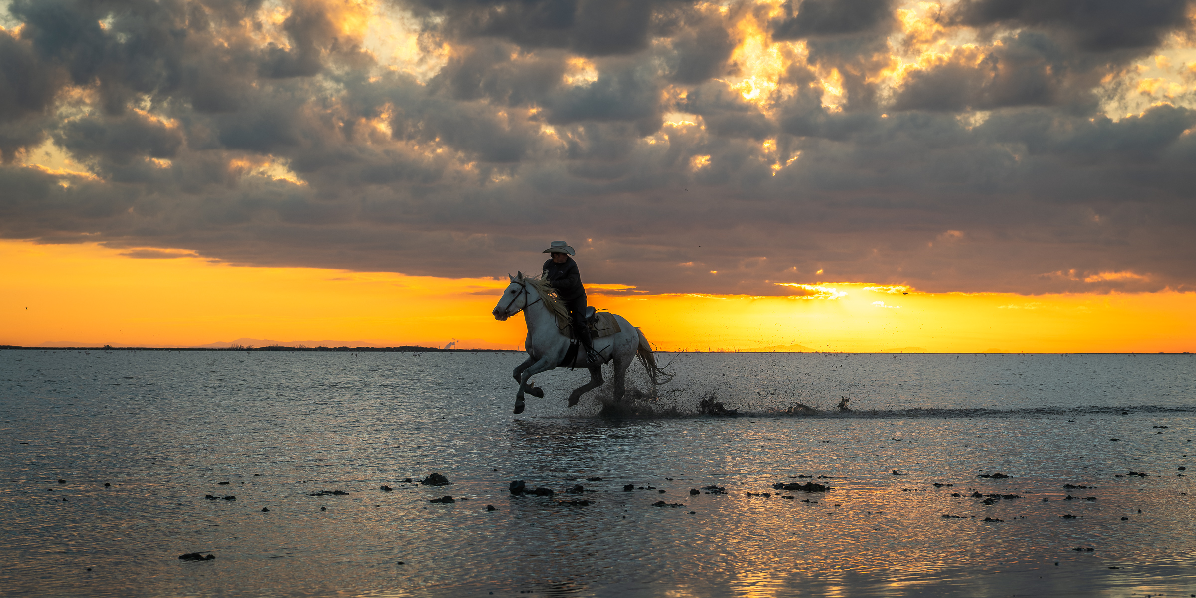 Bernard Crampon Photography - 033-2021-10-24_0501 La Camargue-RAF_DxO_DeepPRIME