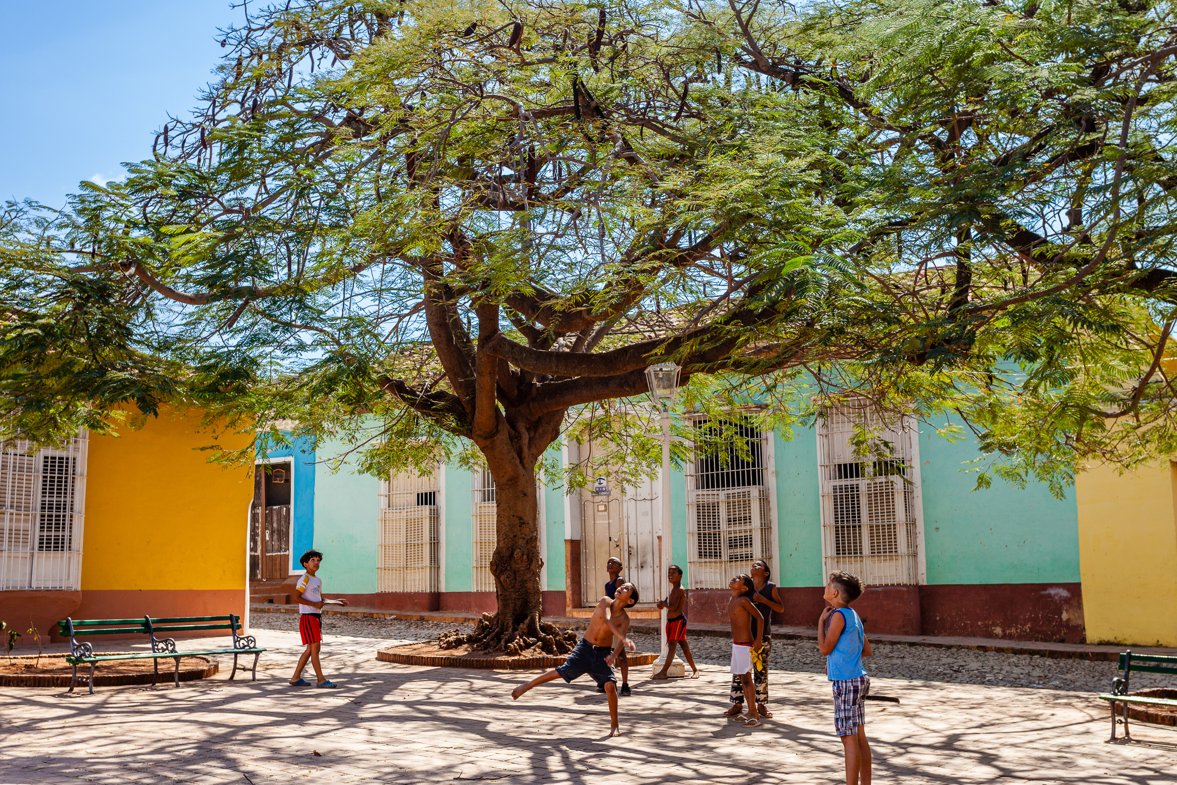 Bernard Crampon Photography - Trinidad