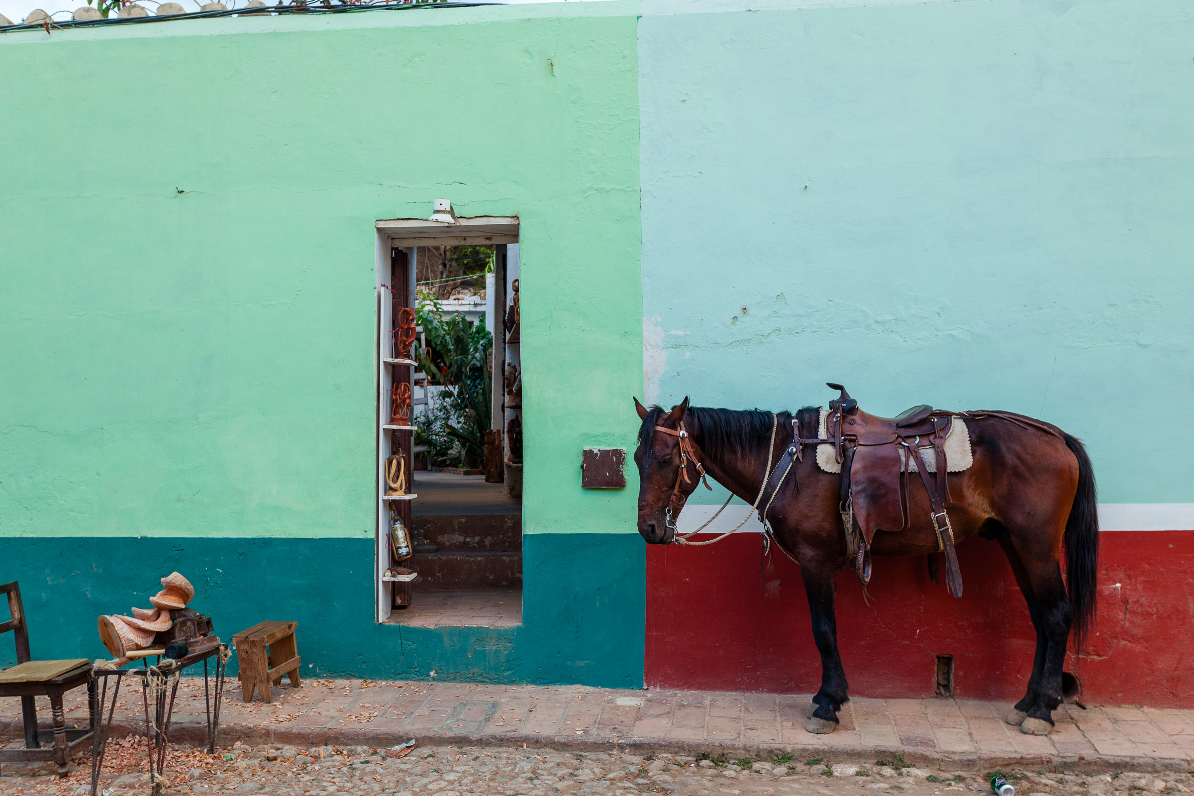 Bernard Crampon Photography - Trinidad