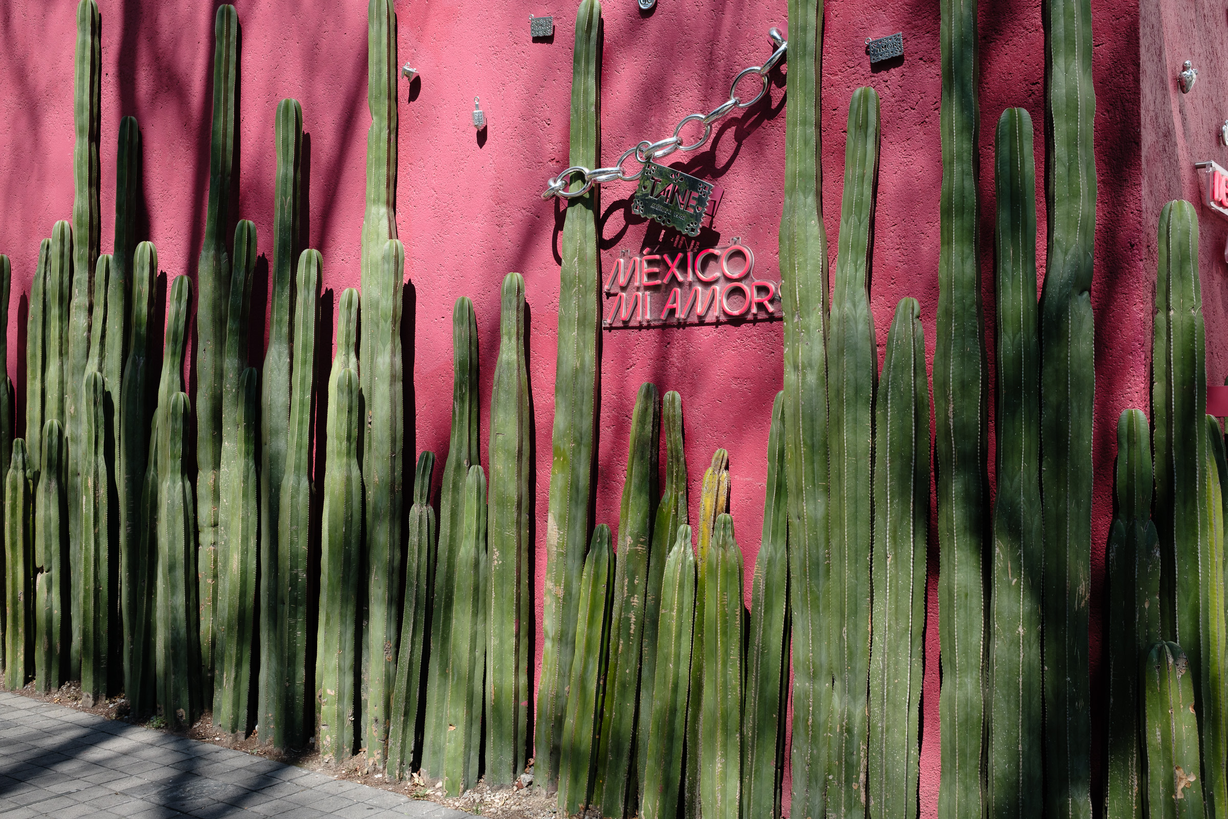 Bernard Crampon Photography - 2023-06-21 CDMX_0248