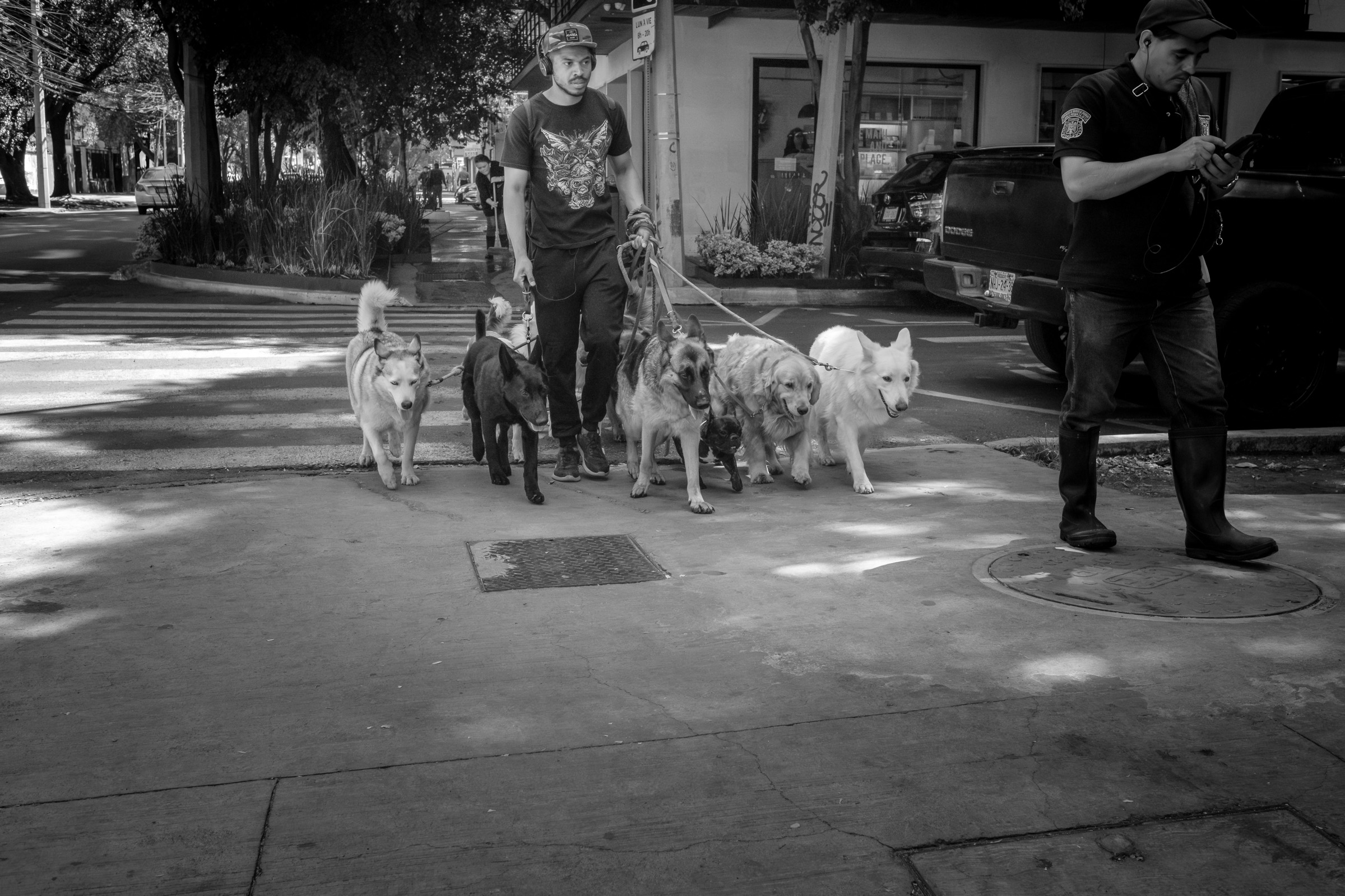 Bernard Crampon Photography - 2023-06-21 CDMX_0282-Enhanced-NR