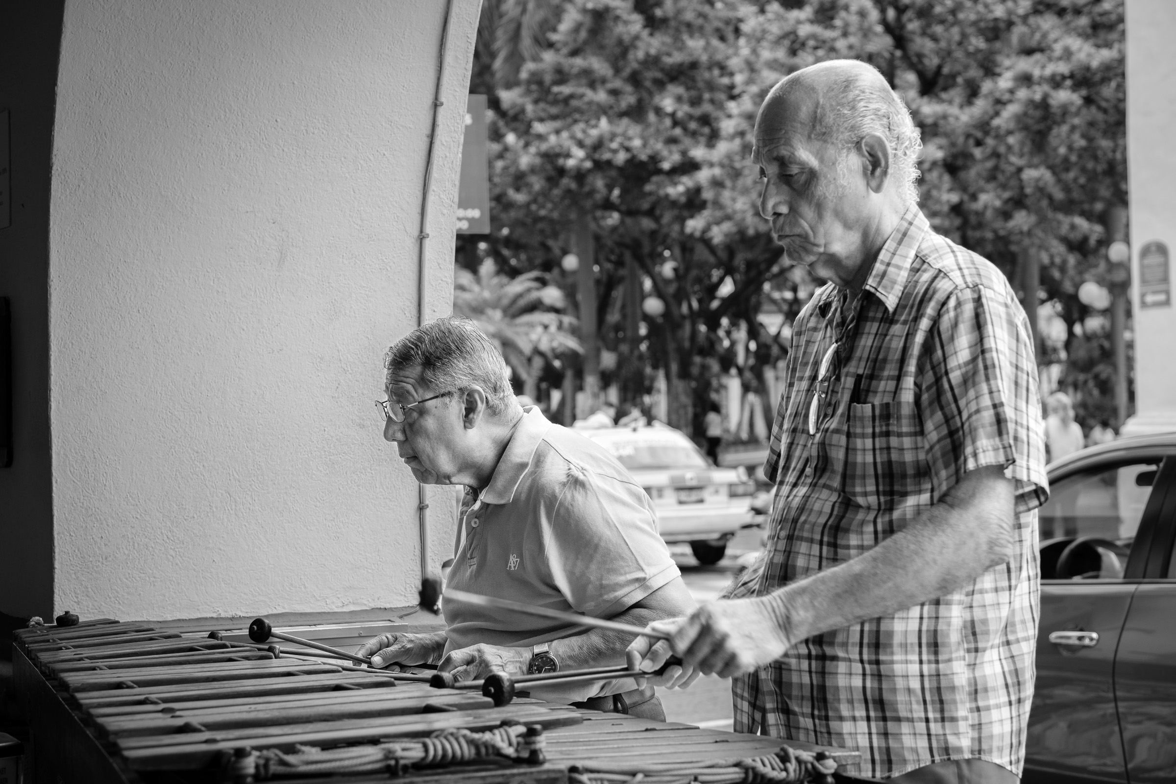Bernard Crampon Photography - 2023-06-26 Veracruz_0098