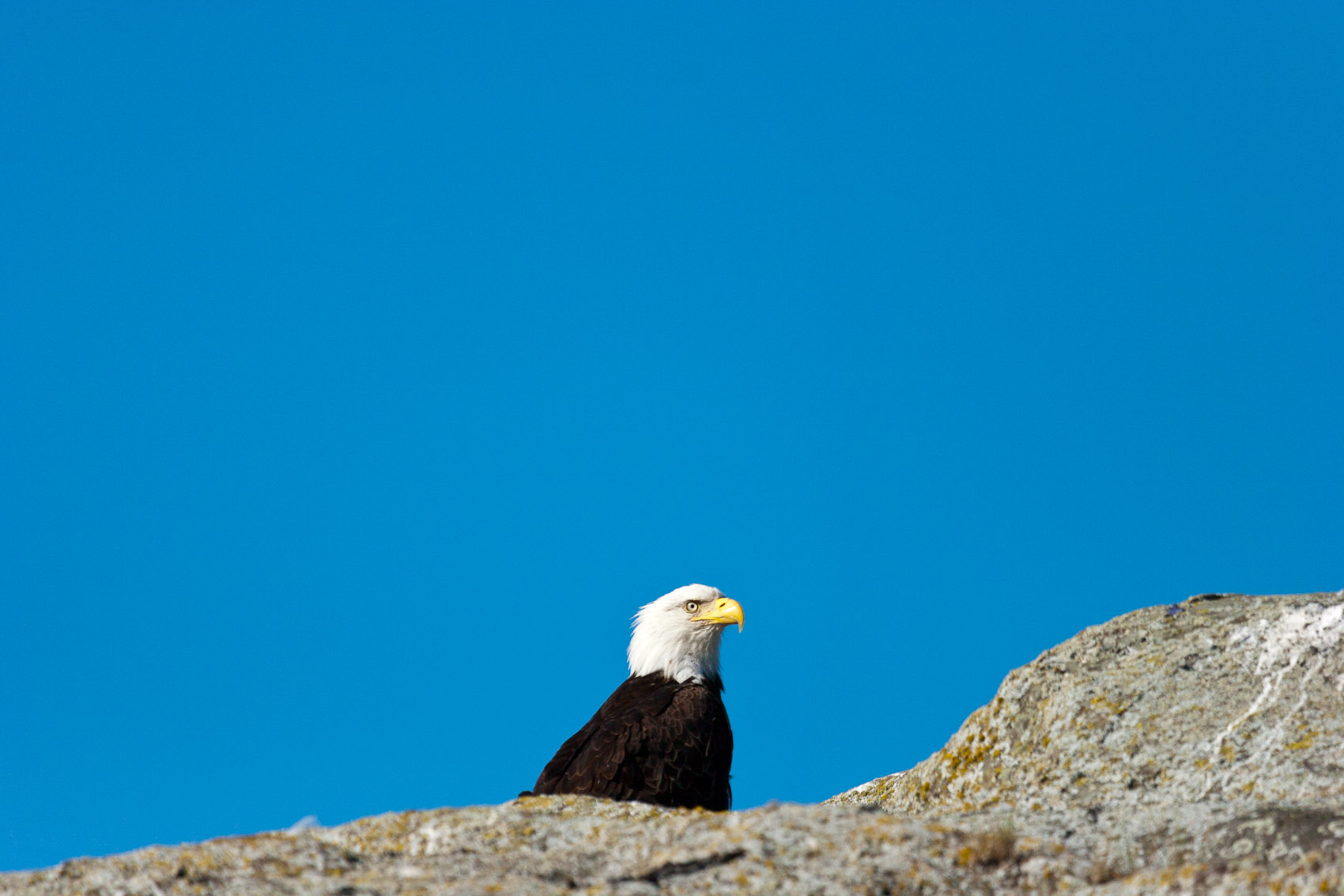 Bernard Crampon Photography - DNG-2005-08-12-Alaska_1302
