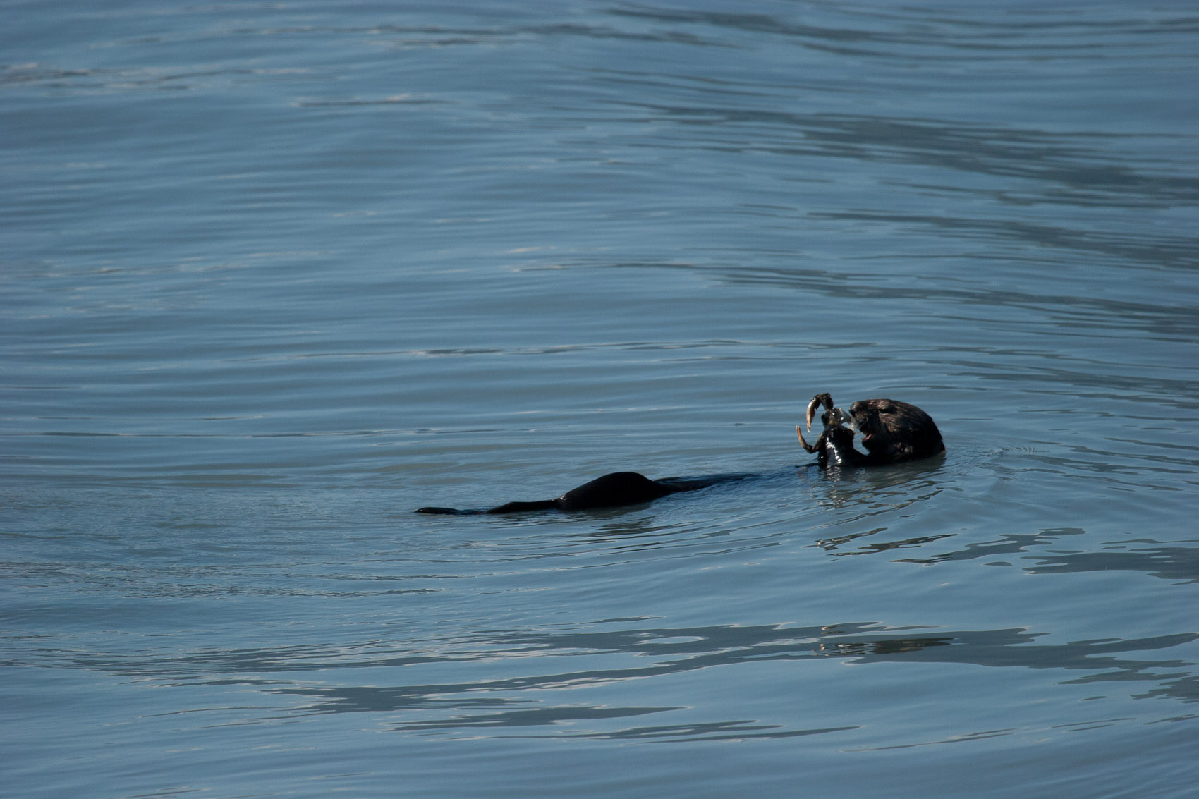Bernard Crampon Photography - DNG-2005-08-12-Alaska_1315