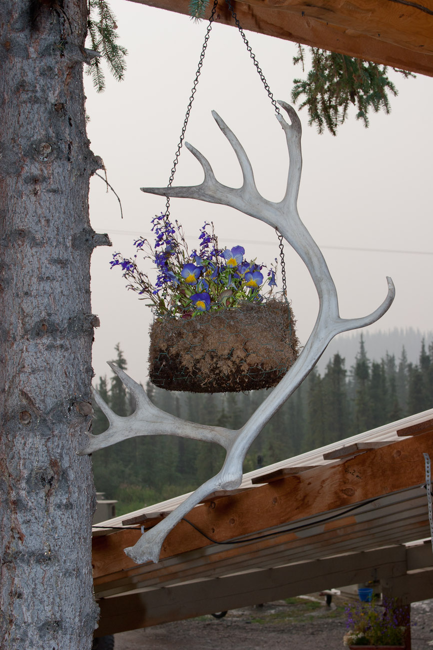 Bernard Crampon Photography - DNG 2005 08 14 Alaska_010_1642