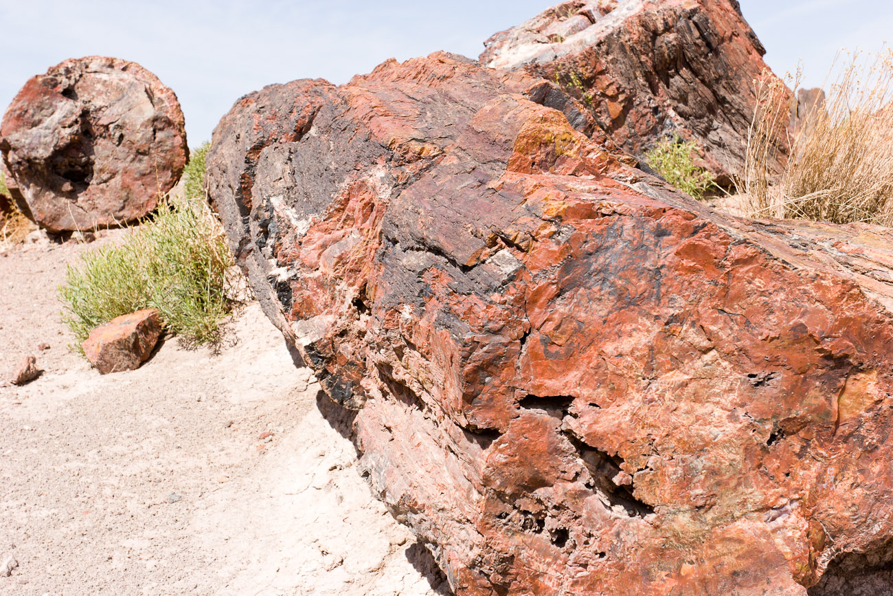 Bernard Crampon Photography - DNG 2006 07 02 Petrified Forest_8702