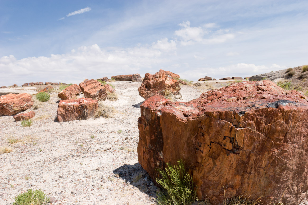 Bernard Crampon Photography - DNG 2006 07 02 Petrified Forest_8706