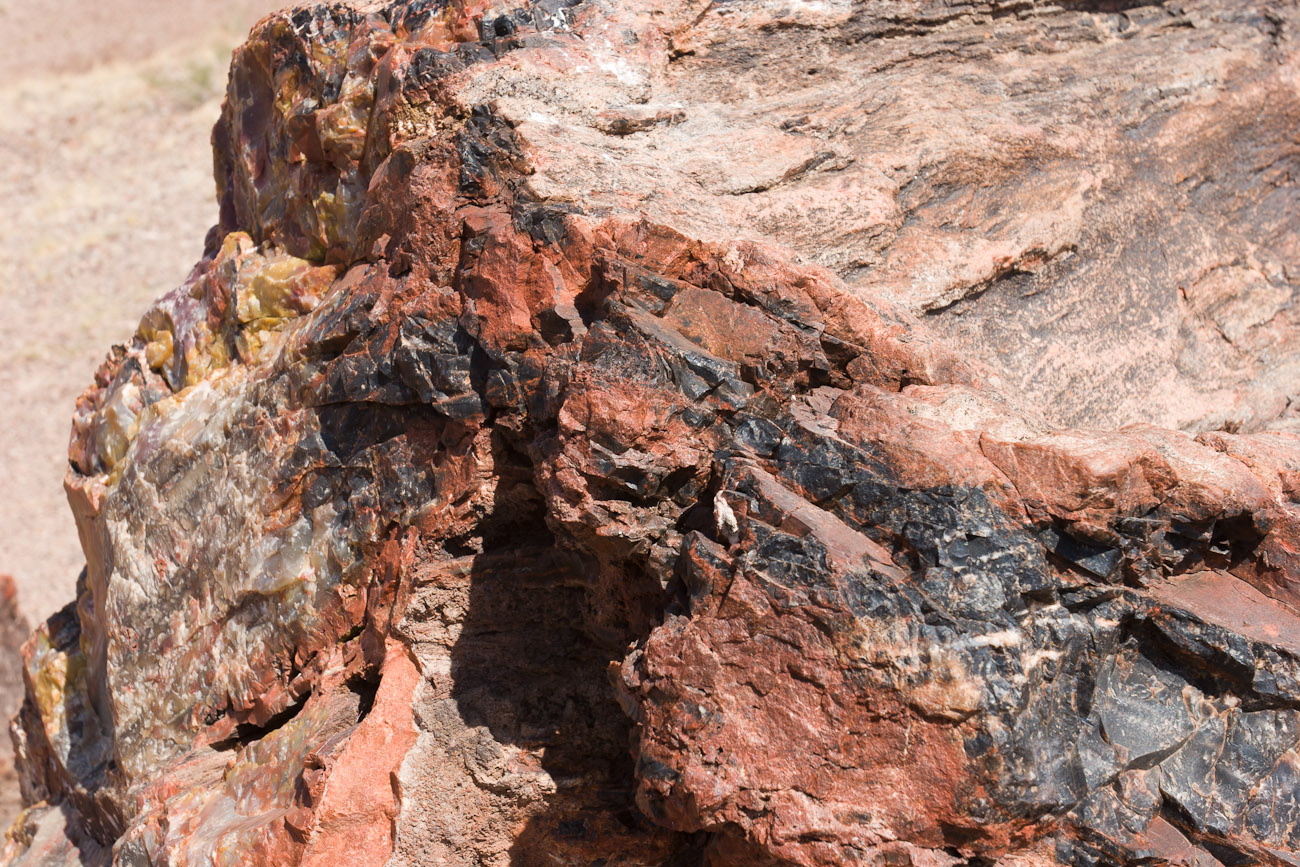 Bernard Crampon Photography - DNG 2006 07 02 Petrified Forest_8711