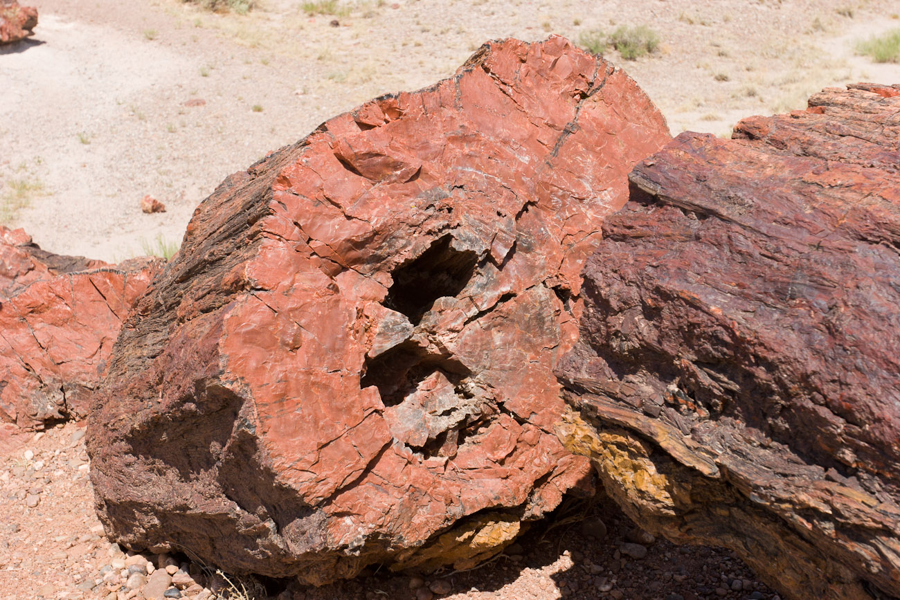 Bernard Crampon Photography - DNG 2006 07 02 Petrified Forest_8712