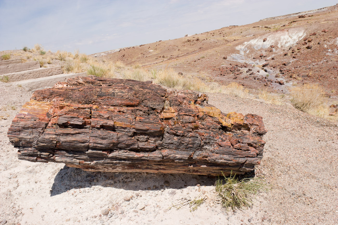 Bernard Crampon Photography - DNG 2006 07 02 Petrified Forest_8715
