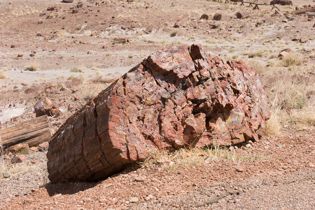 Bernard Crampon Photography - DNG 2006 07 02 Petrified Forest_8720