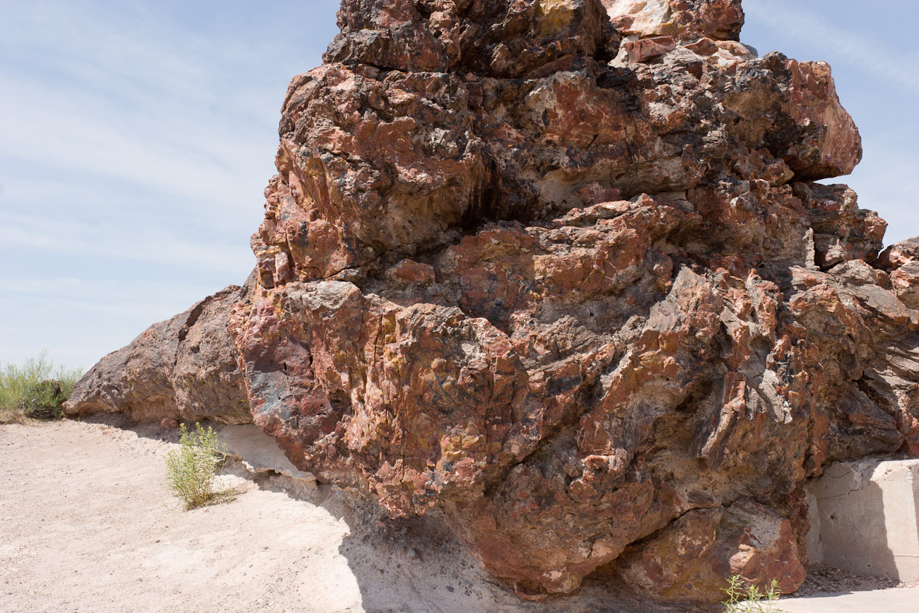 Bernard Crampon Photography - DNG 2006 07 02 Petrified Forest_8724