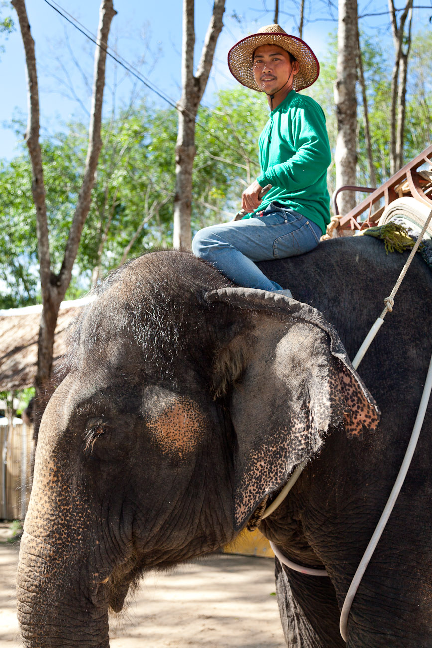 Bernard Crampon Photography - Elephant Treck