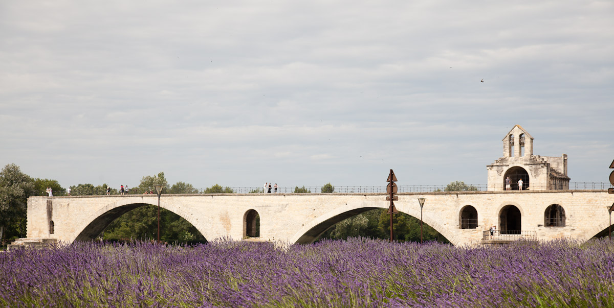Bernard Crampon Photography - DNG 2009 06 14 Avignon_0102