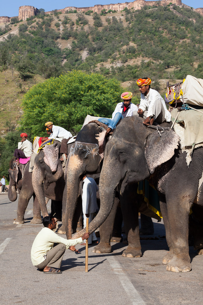 Bernard Crampon Photography - India - Rajasthan - Jaipur