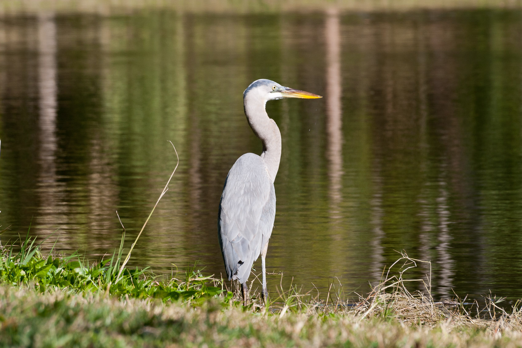 Bernard Crampon Photography - Dneg-02-18-04_0289